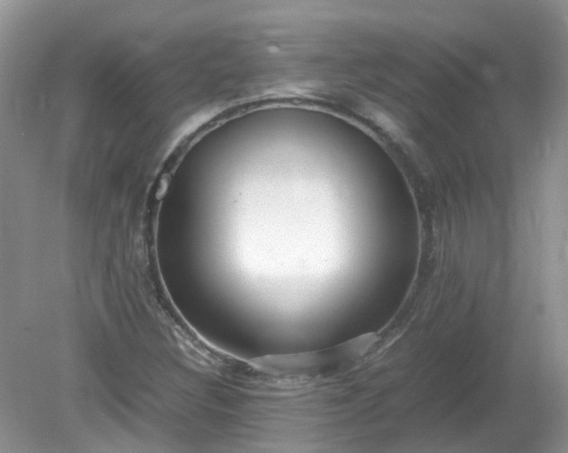 X0000079341308200611251846