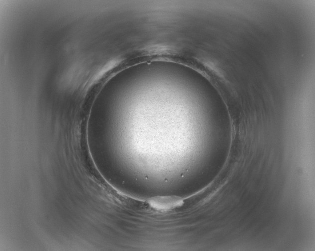 X0000079341309200611251846