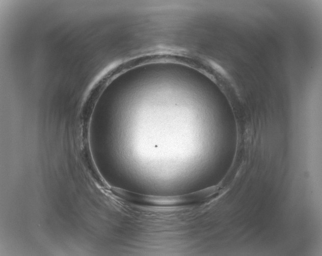 X0000079341310200611251846