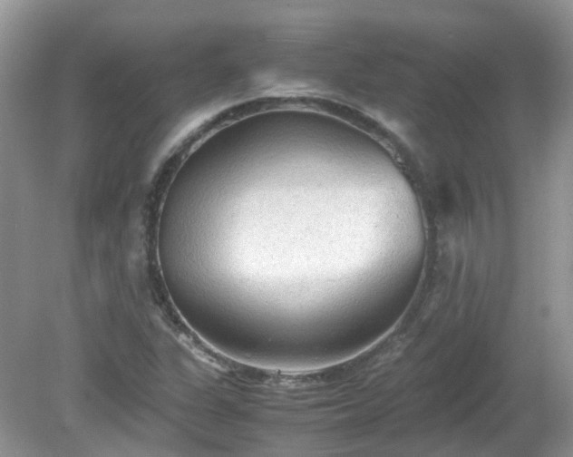 X0000079341311200611251846