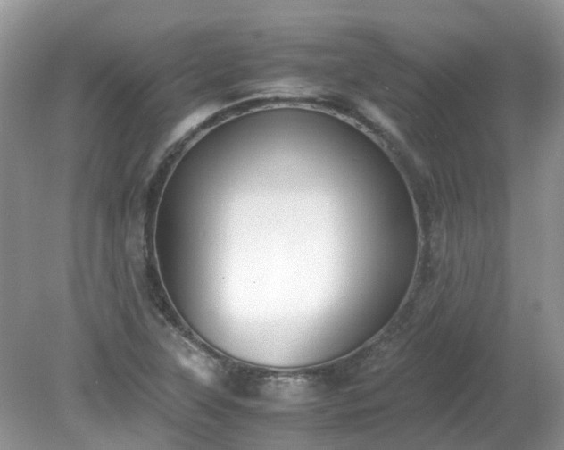 X0000079341315200611251846