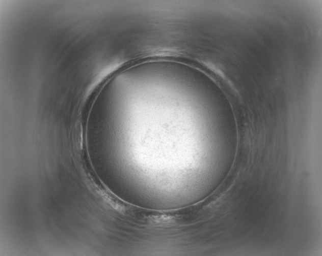 X0000079341317200611251846