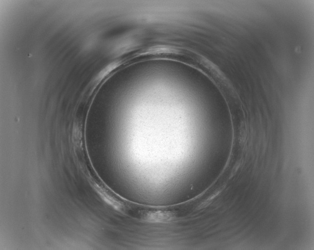 X0000079341321200611251847