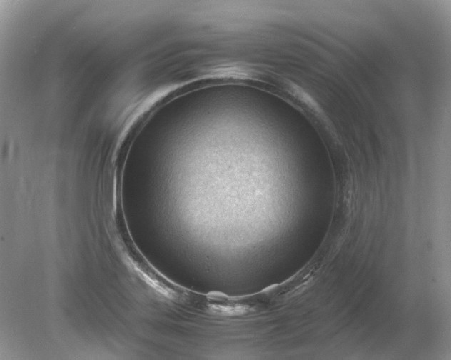 X0000079341323200611251847