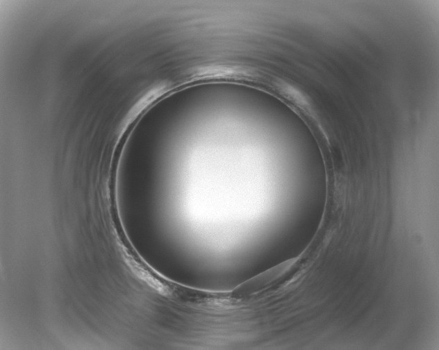 X0000079341330200611251847