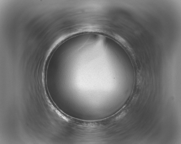 X0000079341334200611251847