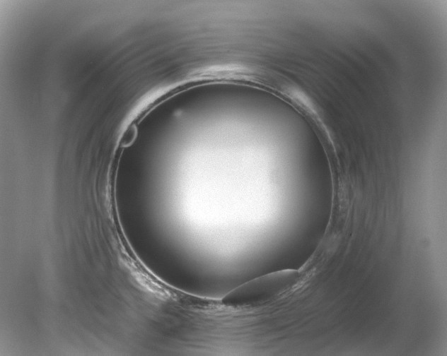 X0000079341336200611251847