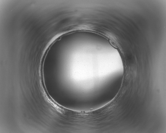 X0000079341339200611251847