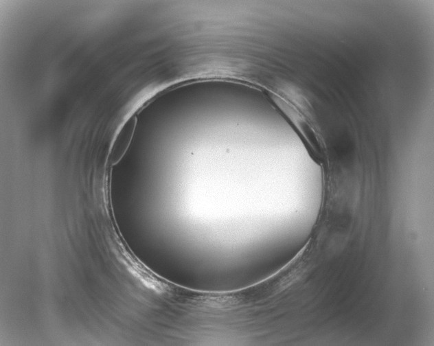 X0000079341340200611251847