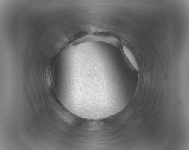 X0000079341348200611251846