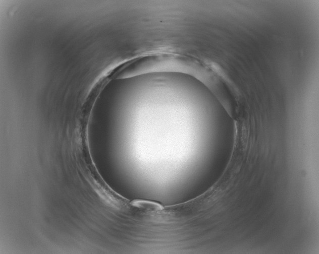 X0000079341356200611251846