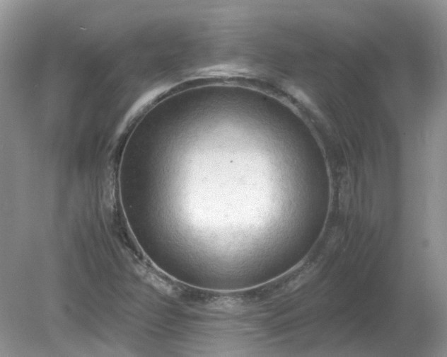 X0000079341358200611251846