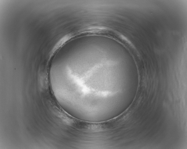 X0000079341362200611251846