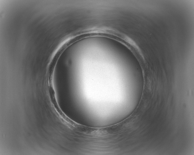 X0000079341368200611251846