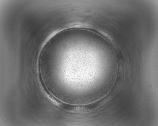 X0000079341375200611251846