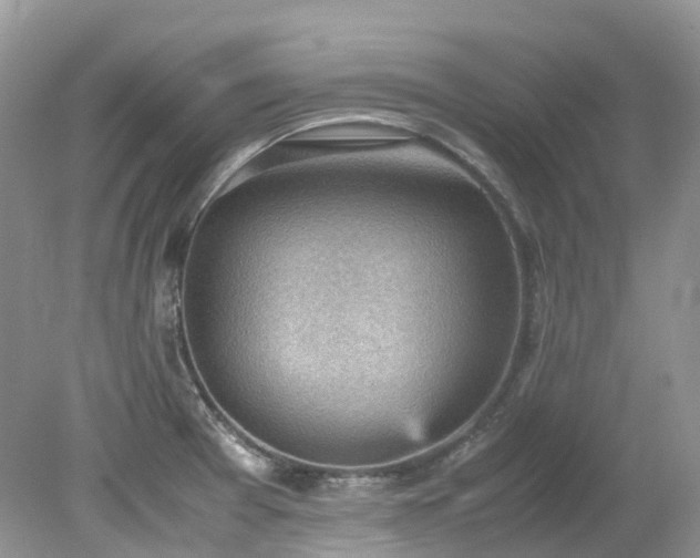 X0000079341377200611251846