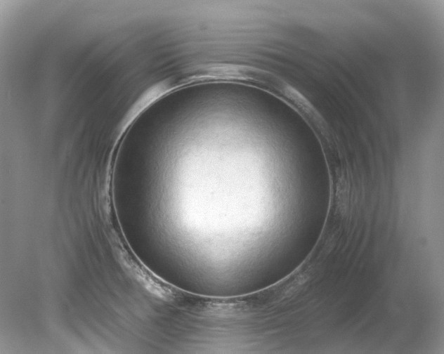 X0000079341378200611251846