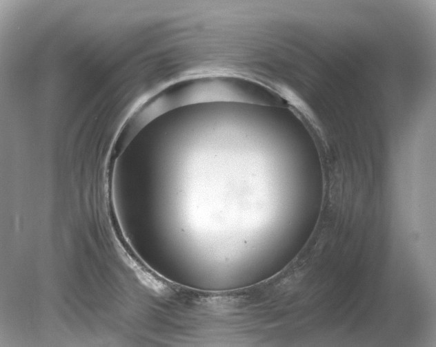 X0000079341380200611251846