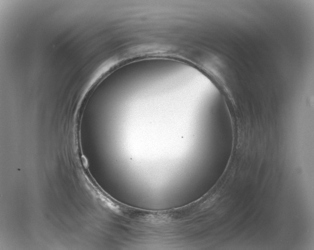 X0000079341384200611251845