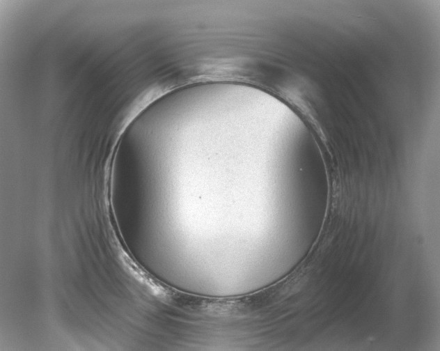 X0000079341386200611251845