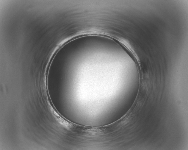 X0000079341388200611251845