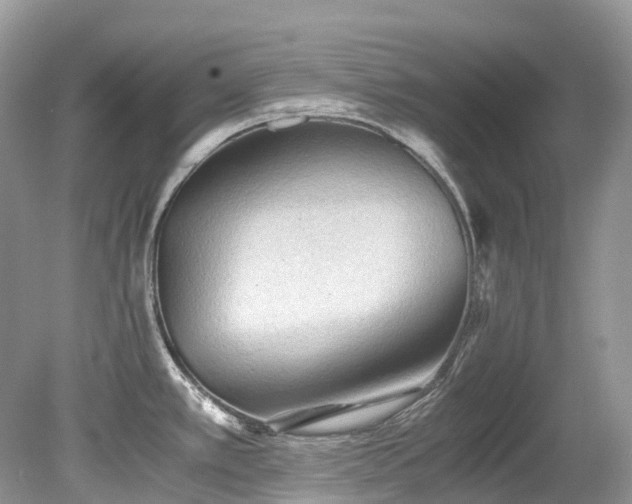 X0000079341389200611251845