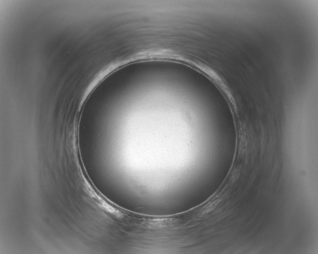 X0000079341390200611251845