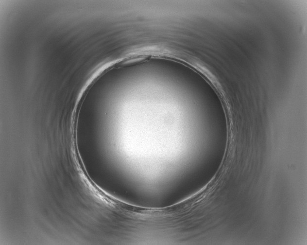 X0000079341392200611251845