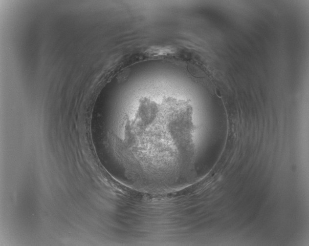 X0000079341393200611251845