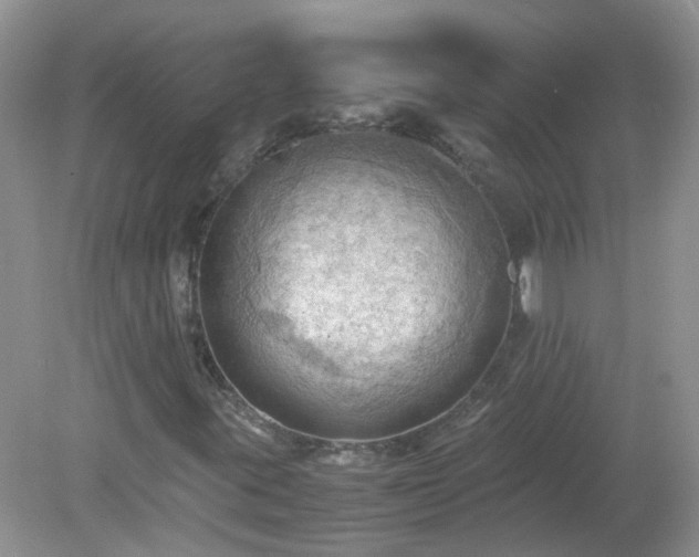 X0000079341395200611251845