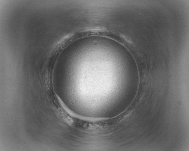 X0000079341398200611251845
