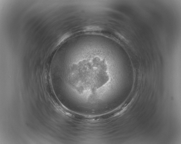 X0000079341401200611251845