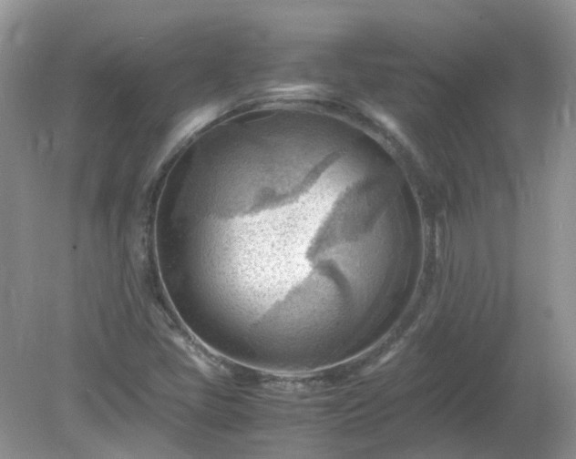 X0000079341405200611251845