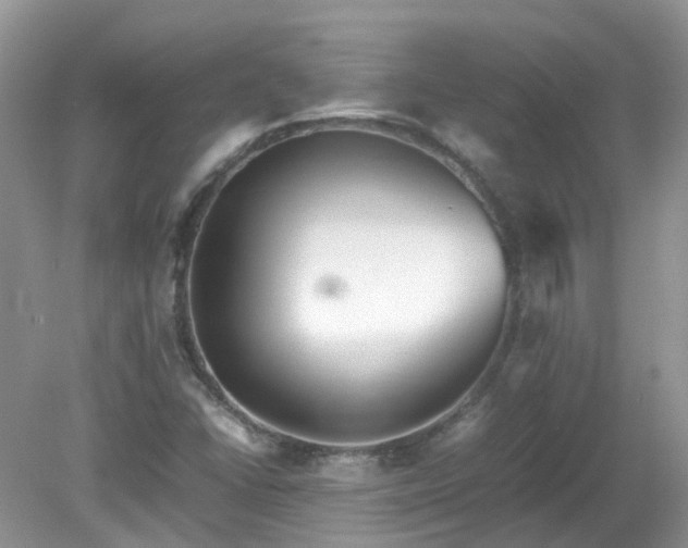 X0000079341406200611251845