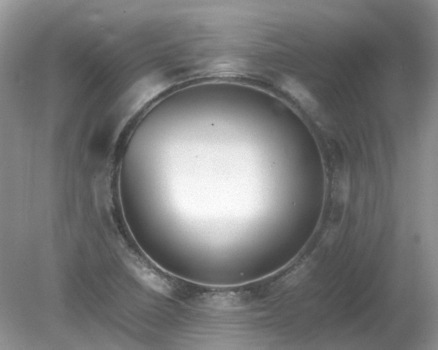 X0000079341410200611251845