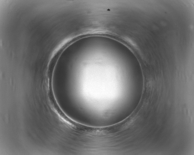 X0000079341414200611251845