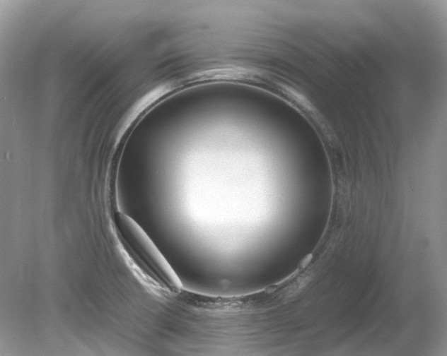 X0000079341426200611251845