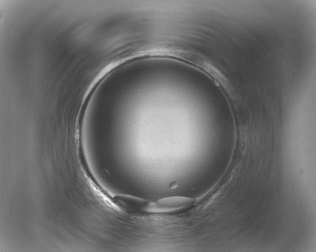 X0000079341428200611251845