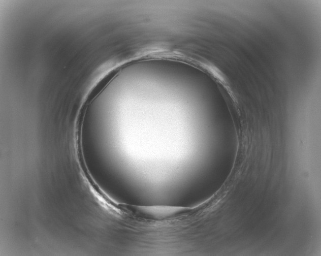 X0000079341430200611251845