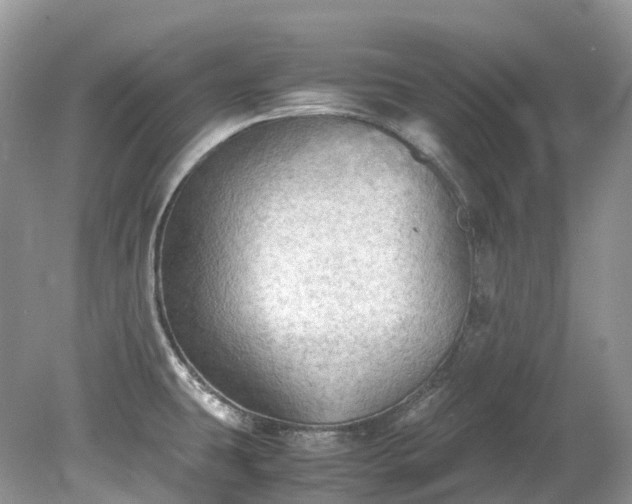 X0000079341431200611251845