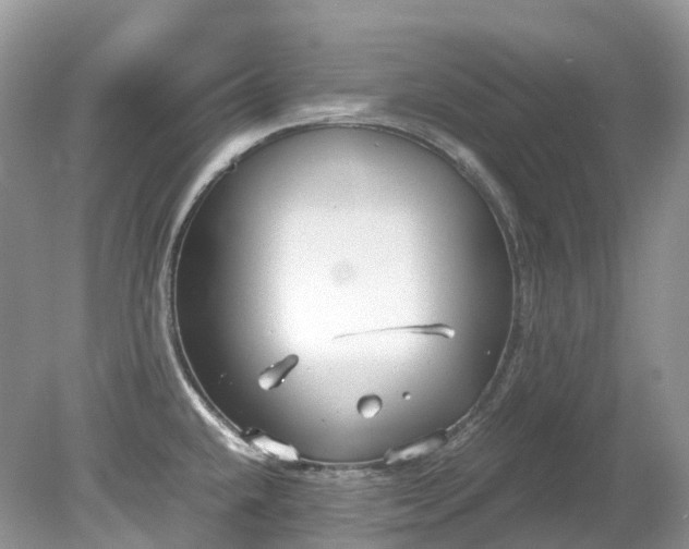 X0000079341432200611251845