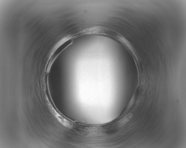 X0000079341434200611251845