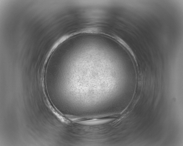 X0000079341437200611251845