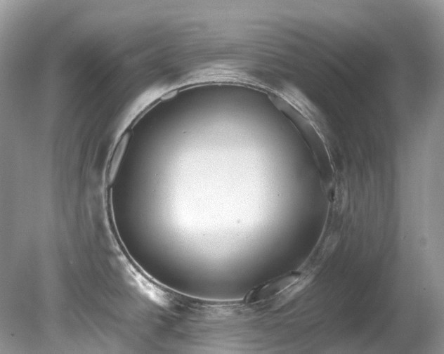 X0000079341438200611251845