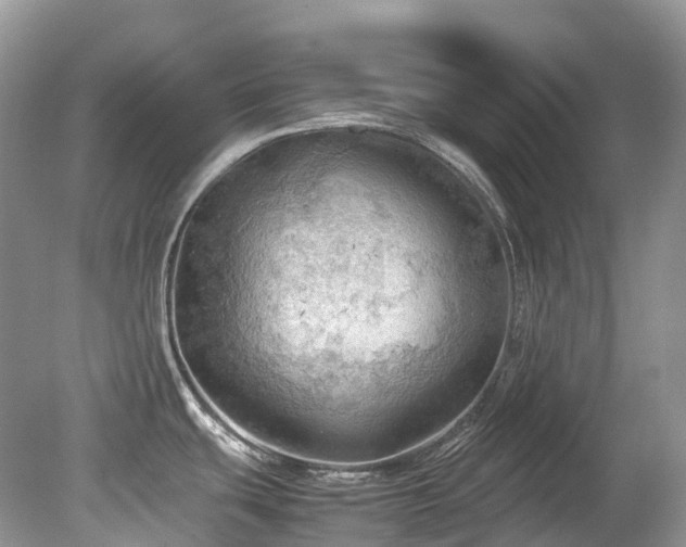 X0000079341439200611251845