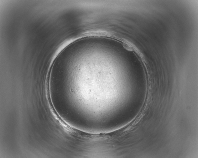 X0000079341440200611251845