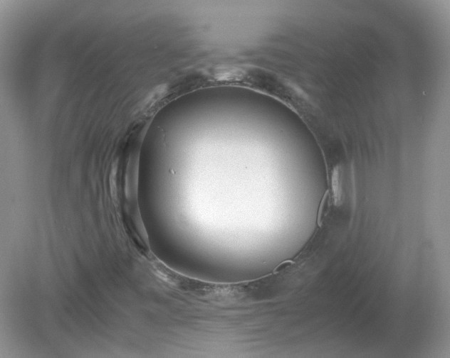 X0000079341443200611251844