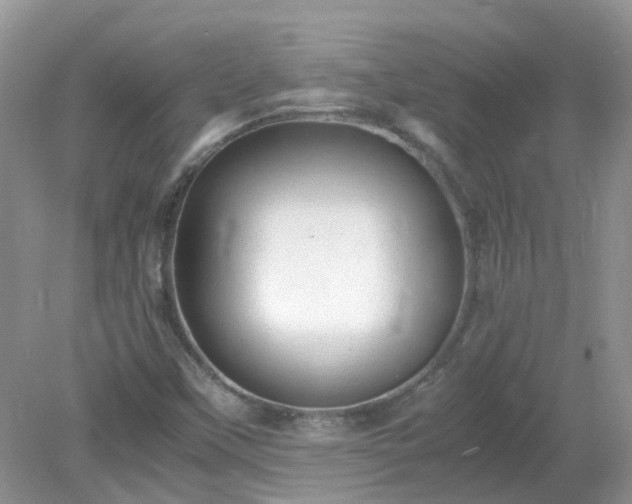X0000079341451200611251844