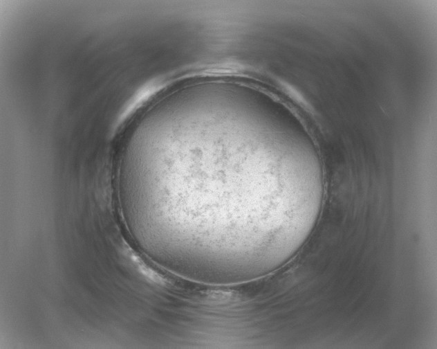 X0000079341456200611251844