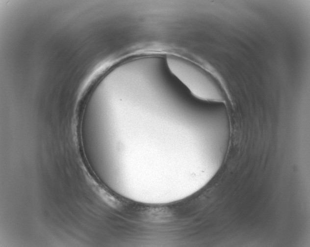 X0000079341464200611251844